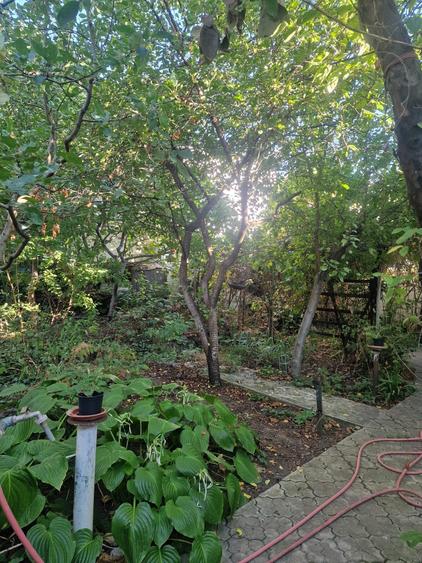 Eroii Revolutiei -  Casa  locuibila - teren 363 mp - deschidere 20.71 mp - P+1E - 21