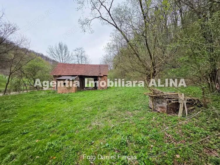 Teren intravilan 1.700 mp + 6.600 mp Padure de foioase + 1.200 mp Padure de foioase, Sat Nojag. - 3