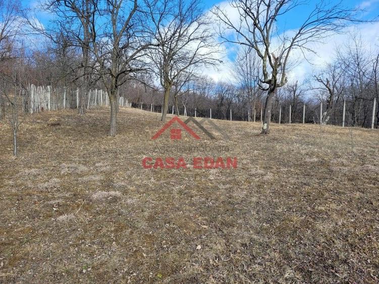 Teren intravilan in Cornu--2991mp--29e - 6