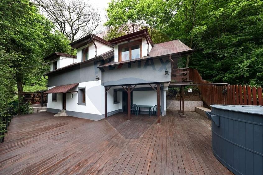 Casa in inima naturii - potential turistic - Centrul Istoric! - 1