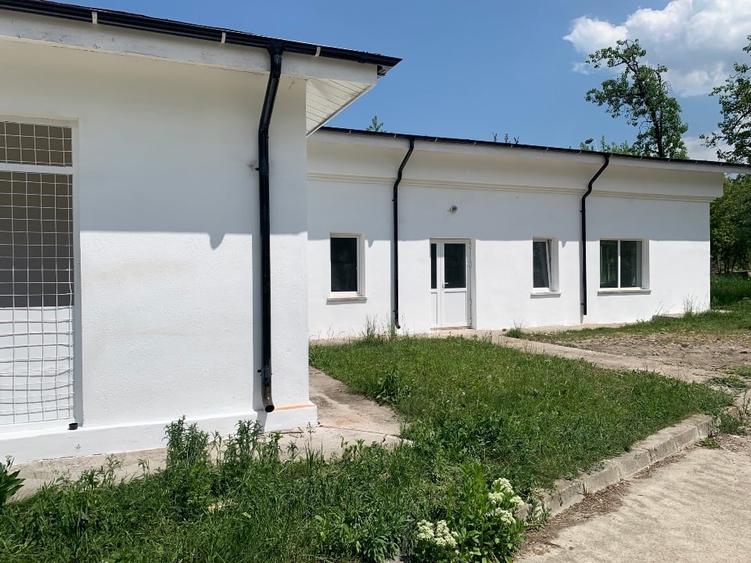 Vânzare hală și garaje - 6