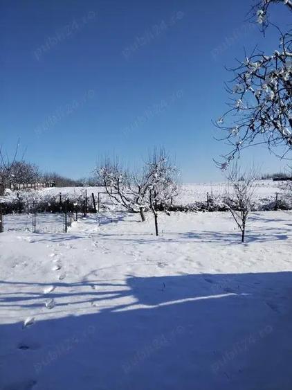 Casa de vanzare in Caline?ti, jud Boto?ani - 5800 mp teren - 8