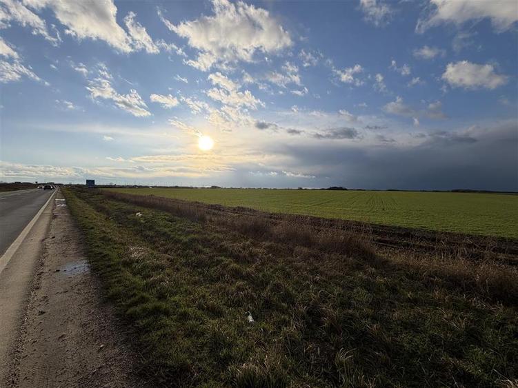 TEREN INTRAVILAN 24457 MP | 80 ML FRONT STRADAL | ORADEA | BIHOR - 3