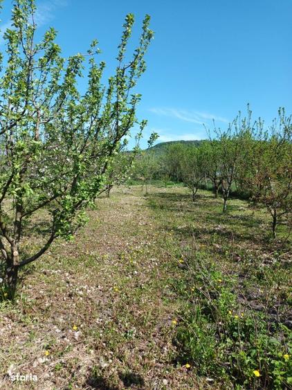 Casa de vanzare, 84 mp, teren 1900 mp, ziduri de caramida - 2