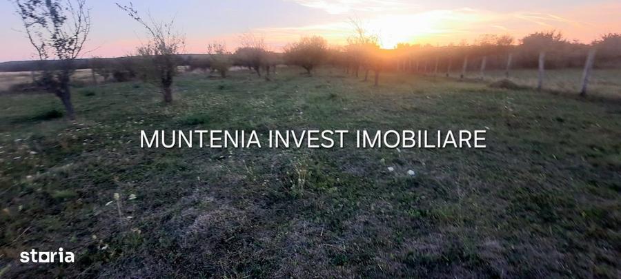 Teren 6000 mp. intravilan Smeura, str. Olteni - 5