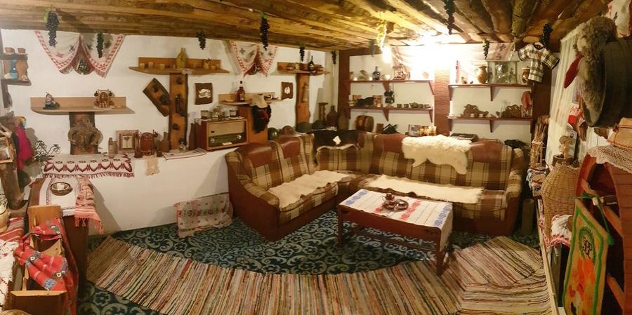 Casa de inchiriat 2km rond Pacurari Rediu - 6