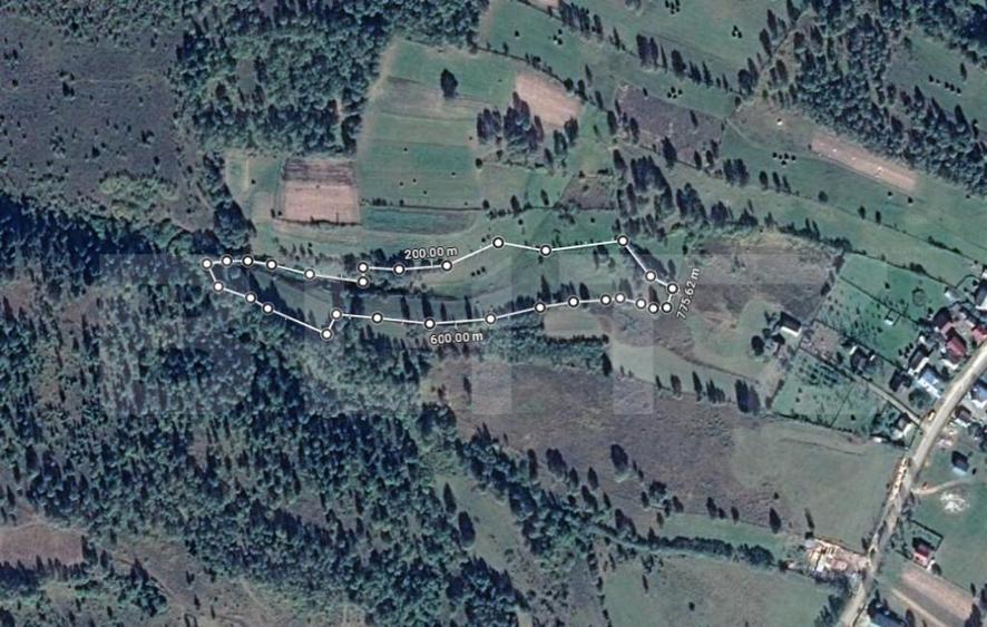 Teren extravilan 13103 mp in Dealu Mare! Oportunitate invest - 2