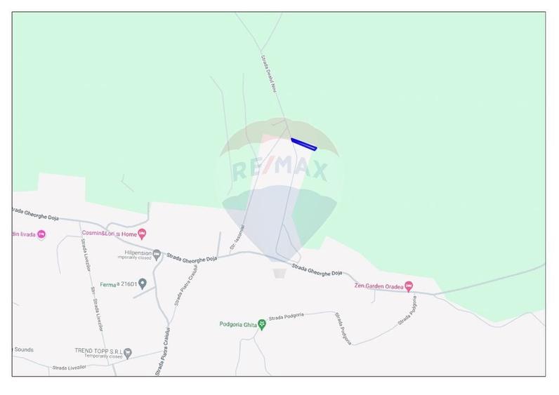 Teren intravilan de vanzare 915 mp - Saldabagiu de Munte - 3