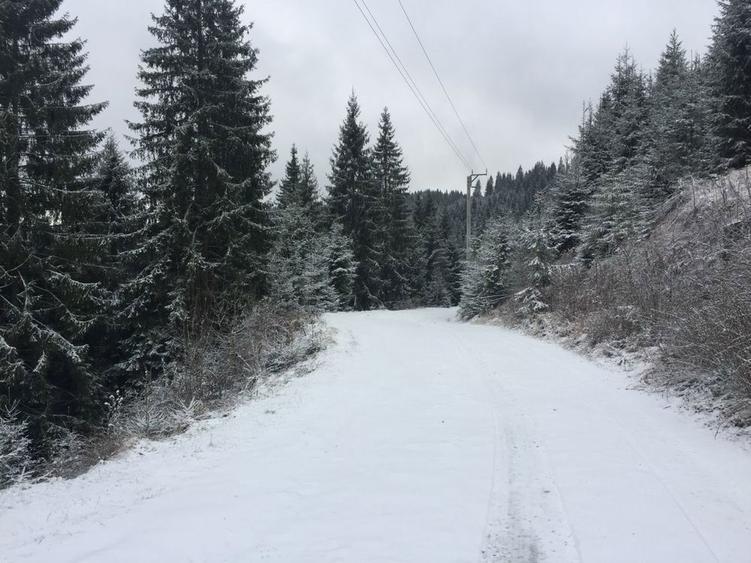 Vand Teren Belis aproape de lac - 5