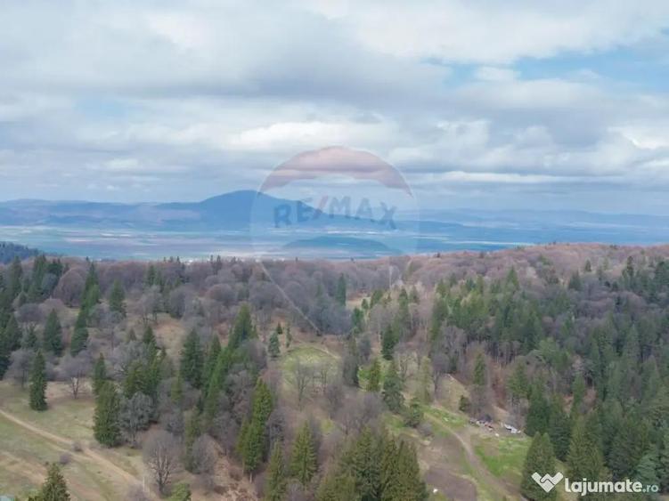 Teren Poiana Brasov, langa Stana turistica 1872mp, PUZ ca... - 10