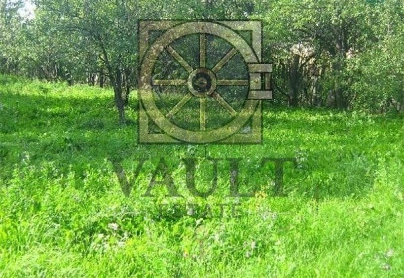 TEREN INTRAVILAN - OPORTUNITATE INVESTITIE - POZITIE EXCEPTIONALA - 1