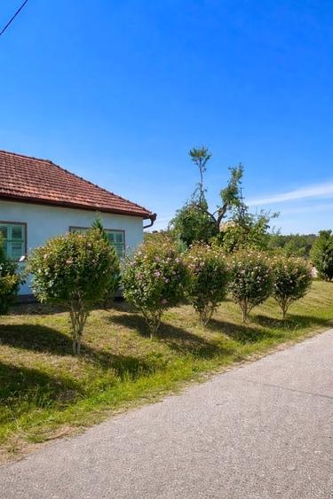 Teren intravilan panoramic de vânzare – Buzad, Timis - 3