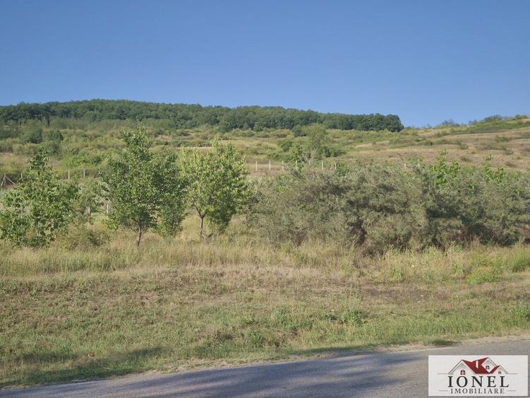 Teren intravilan 2500 mp de vanzare in Ciugud - Teleac - 1