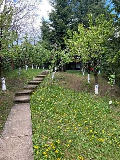 Vanzare Casa cu brazi, Breaza, vizavi de Lac de Verde - 2