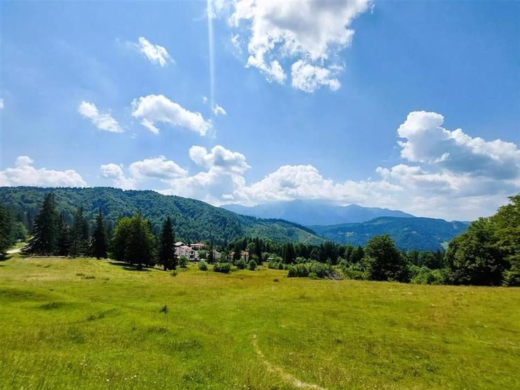 Teren Construcții intravilan de 80000 mp, în Vlădeț - Trei Brazi