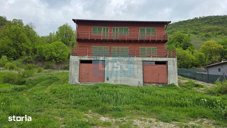 Casa de vacan?a pe malul Dunarii, Svini?a - 8