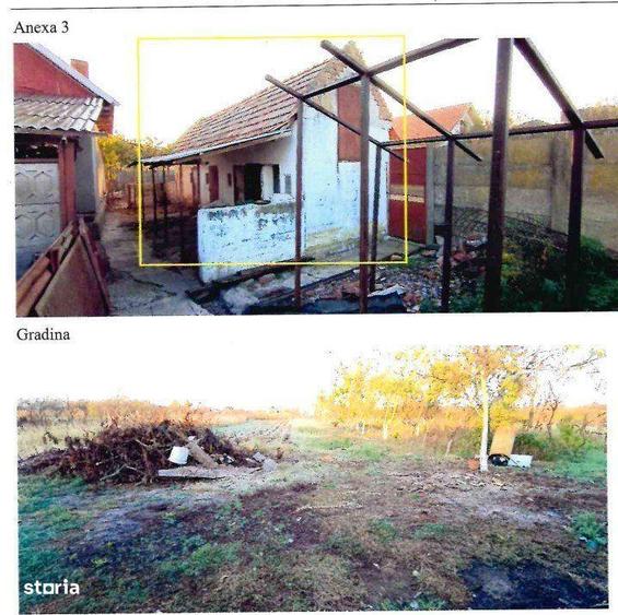 2 Case P - 123mp + 70mp + Teren-2.302 mp + Anexe, Sanovita - 4