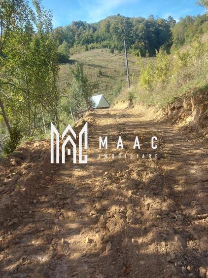 Super ofertă 35000 teren in Muntii Apuseni - 27