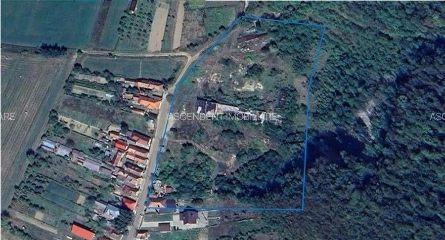 Amplasament de 13.500 mp:oportunitate  unitate de prelucrare terena, Viforoasa,