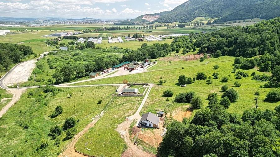 Teren Intravilan parcele 1000mp - 27