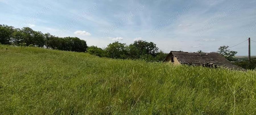 Vand teren Adamclisi judetul Constanta - 7