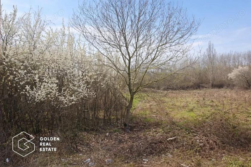 Teren intravilan, 1080 mp, Lipova - 4