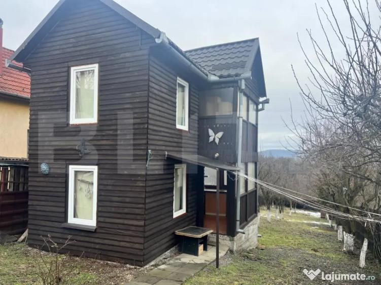 Cabana de lemn- Vatmani - 10