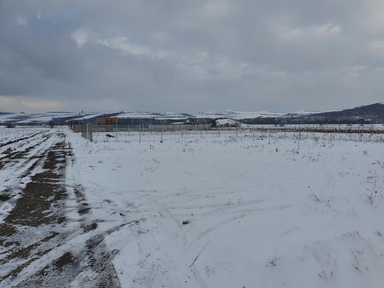 Teren Bod sat zona Dacia plant - 3