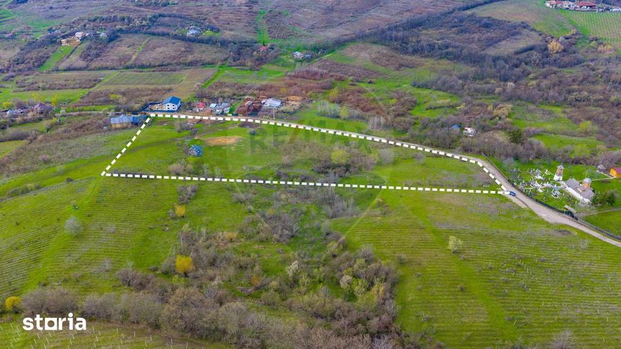 Teren 33.500 mp-Valea Orlei, Prahova/ COMISION 0% - 7