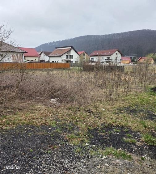 Teren intravilan intre case in Bunloc, langa padure 604 mp - 4