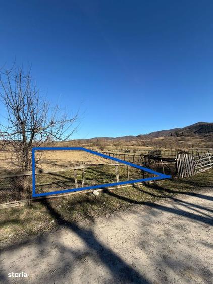 OCAZIE UNICA / SINCA NOUA / Teren extravilan pe drumul spre Manastire! - 2