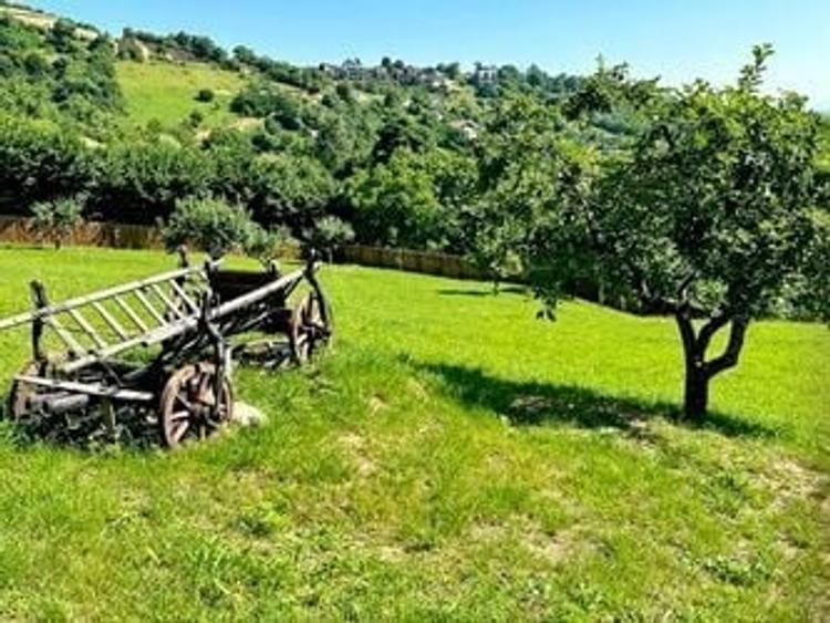 TEREN cu Priveliste, in Schei - 5