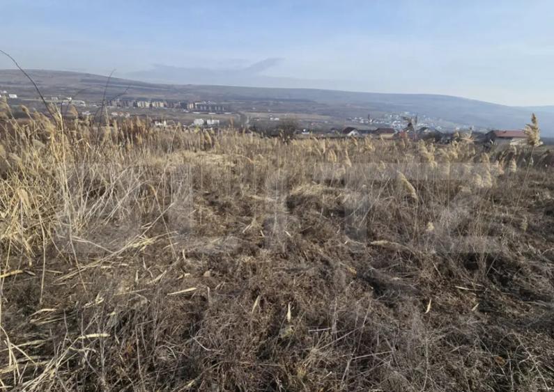 Teren Extravilan 6300 - potrivit pentru investitie - 1