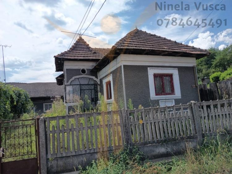 CASA  PITOREASCA DE VANZARE BRANESTI - DAMBOVITA - 1