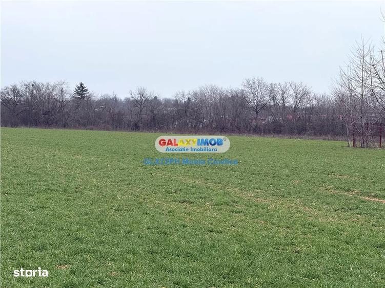 Vanzare teren intravilan Baicoi zona Ciresi - 2