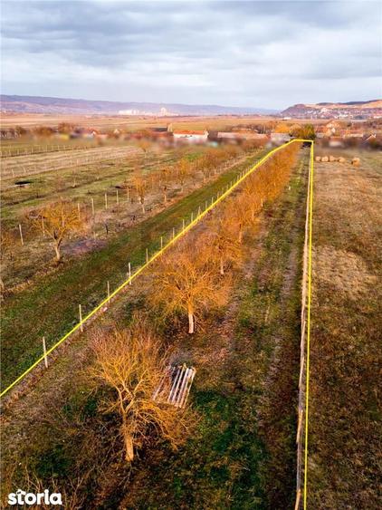 RECO Teren intravilan pentru loc de casa 5342 mp- sat.Hotar - 5
