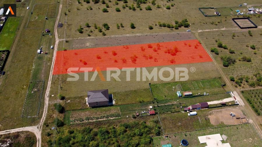 Teren intravilan Livada Sanpetru - 5