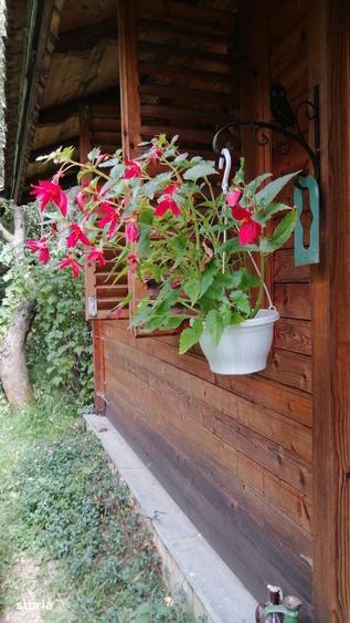 Casa de vacanta comana Izvoarele-Maneciu, Valenii de Munte - 4