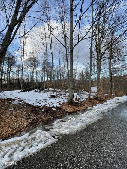 Teren deosebit 30 arii | Zona montana exclusivista | Aproape de centru - 3