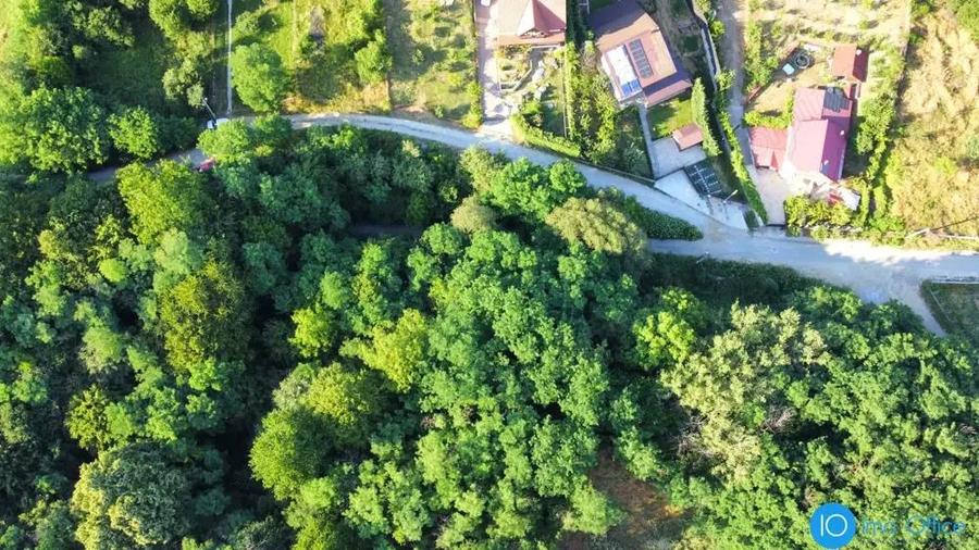 TEREN 6700 MP, INTRAVILAN LANGA PADURE - 16