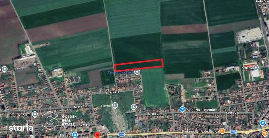 Teren extravilan, 2 hectare, oras Pecica - 1