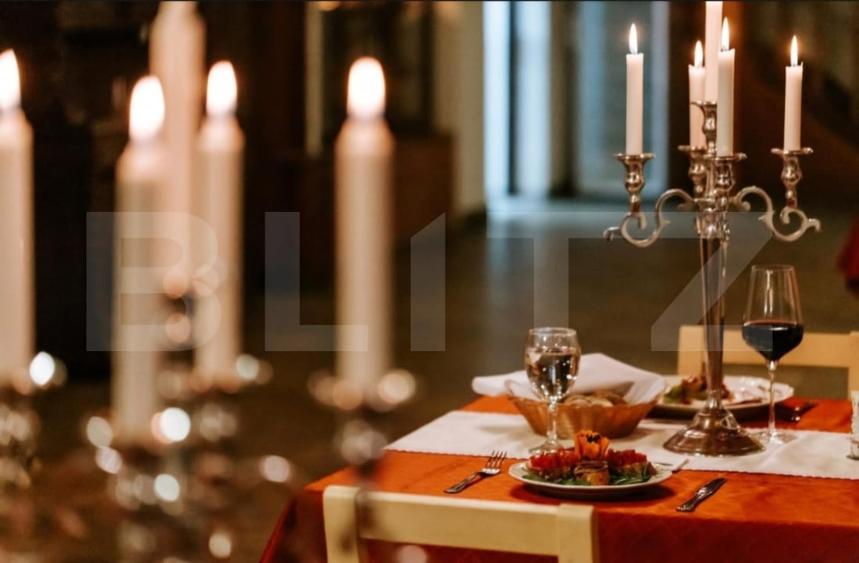 Conac de vanzare 7 camere cu bai proprii, crama, ciubar si potential - 8