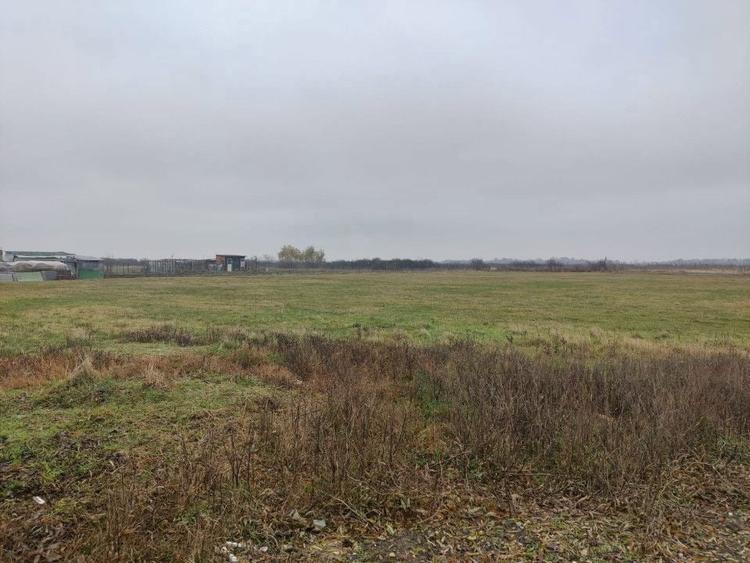 Teren 4588 mp, Remetea Mare Comision 0% - 2