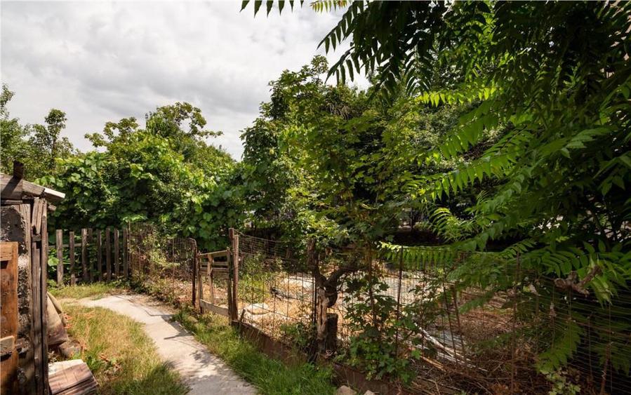 RECO, Casa din caramida, Zona Velenta, Oradea - 10