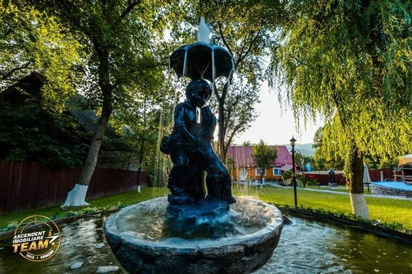 FILM&3D! Doua case cu:piscina,foisor,arbori decorativi,1.700mp teren,Lutoasa,Cov - 3