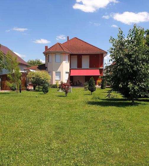 Casa spatioasa de vanzare in Chisineu-Cris zona linistita - 15