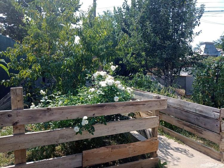 Urgent ! vand casa + teren in bolintin -vale - 4