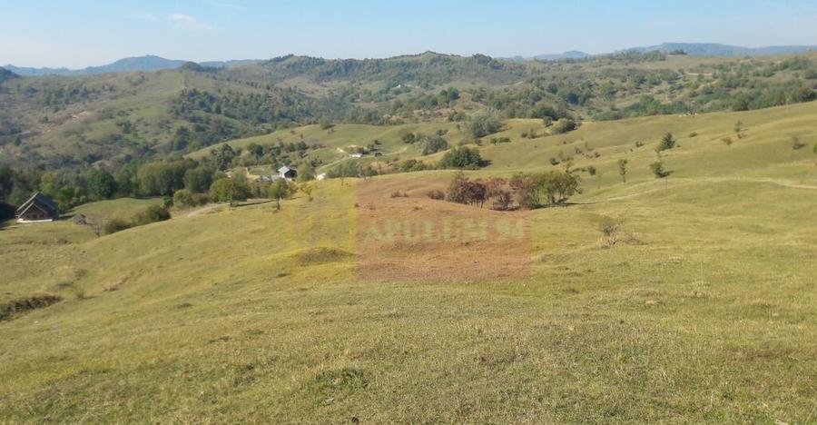 Teren intravilan de vanzare in Breaza (dezvoltare imobili... - 2