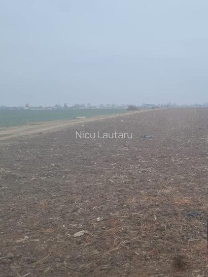 Vanzare Teren 5000mp intravilan Magurele