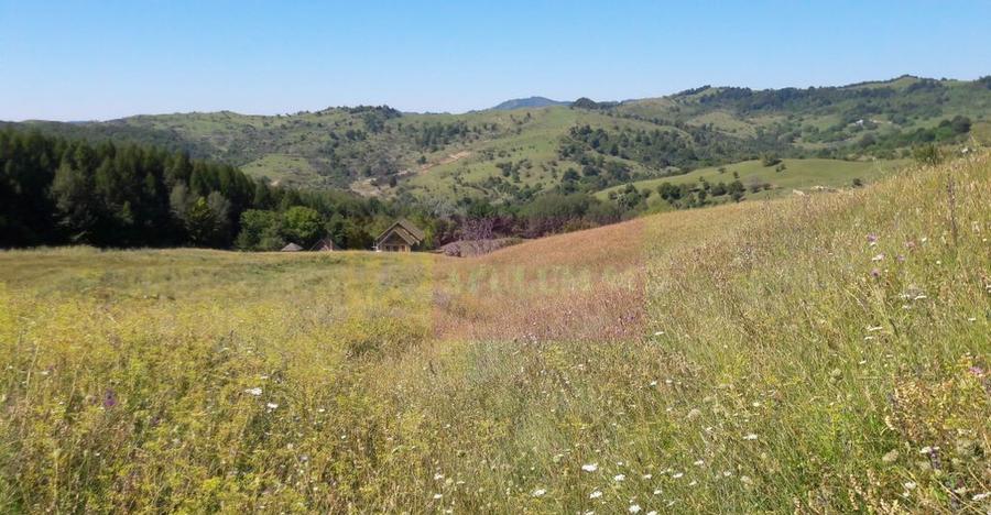 Teren intravilan de vanzare in Breaza (dezvoltare imobili... - 9